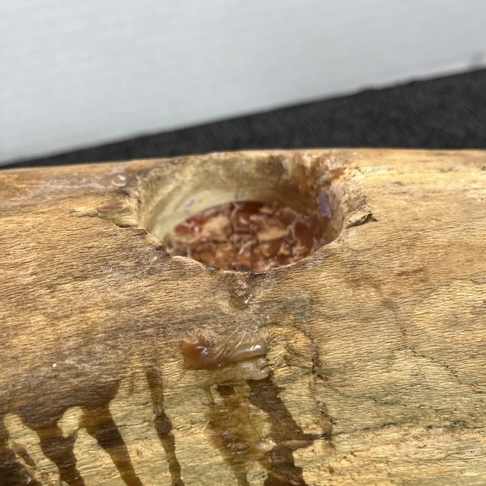 Driftwood Candle Holder Carved Art Primitive Decor Rustic Beach 28